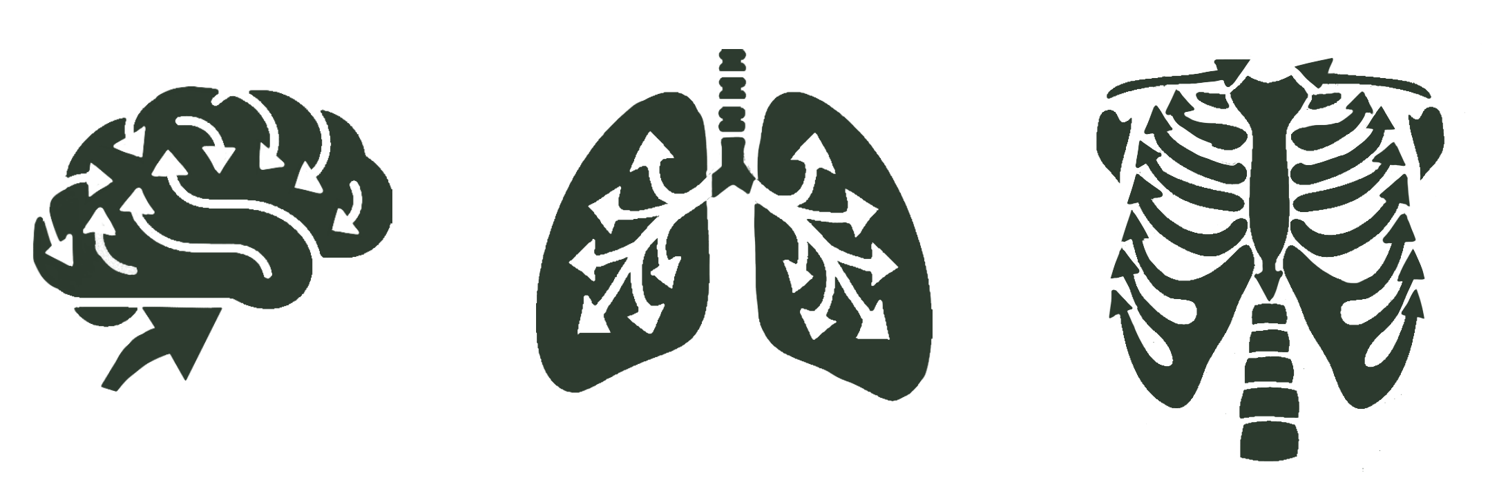 ReHuman System